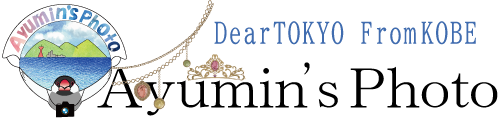 Ayumin’s photo 出張カメラマン 東京23区対応(ayuminsphoto)
